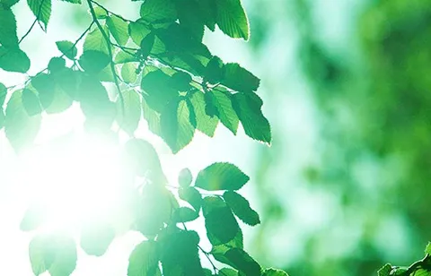 サステナビリティ