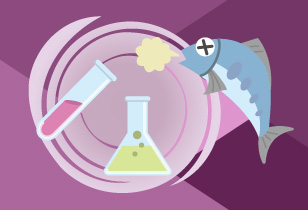 Maintenance of fish health (controlled use of chemical and antibiotic substances)