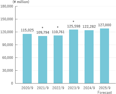 Net Sales